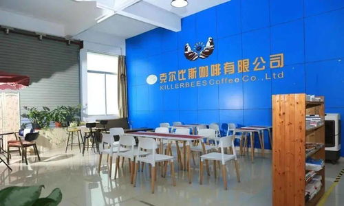 點贊！坦洲一企業入選廣東省工業旅游培育資源庫，文化藝術交流策劃點亮工業新風景